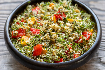 Close up view of alfalfa sprouts and roasted capsicum salad with cashew nut and herbs dressing....