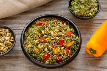 Alfalfa sprouts and roasted romano peppers salad. On the side, alfalfa sprouts and cashew nut dressing in small bowls, and romano yellow pepper. Healthy lifestyle concept. 