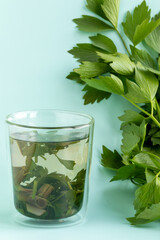 A glass of lovage infusion (lovage tea). Fresh twigs of lovage (Levisticum officinale), a medicinal plant used in cooking, alternative medicine, homeopathy, and cosmetology.