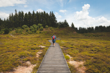 Man hiking on boardwalk in nature