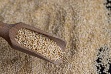 scattered white quinoa seeds, close up