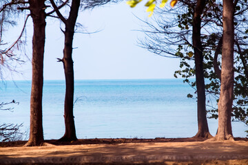 Sea scenic summer view from beach with tree on background
