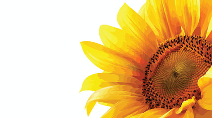 Beautiful sunflower on white background Vector illustration