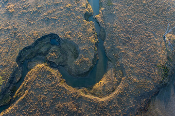 Ariel of the Outback