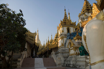 Fototapeta premium Myanmar Yangon Shwedagon Paya on a sunny spring day