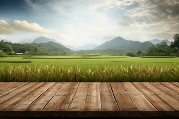 Rice field landscape outdoors nature