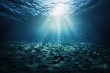 Calm underwater scene with sunrays reaching the seabed outdoors nature tranquility - obrazy, fototapety, plakaty