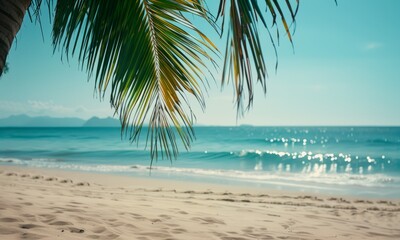 Fototapeta na wymiar seascape. palm branch, sea, white sand. place for the text