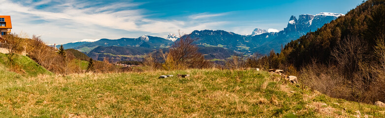 High resolution stitched alpine winter panorama with the dolomites in the background near Klobenstein, Ritten, Eisacktal valley, South Tyrol, Italy