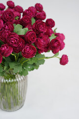 Burgundy ranunculus in a vase isolated on a white background.