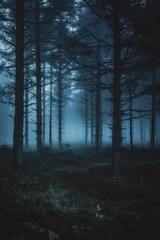 Obraz premium Witness the mysterious scene in the foggy forest at night, where an eerie glow hints at an alleged alien abduction site.