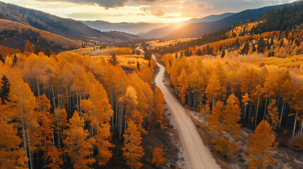 Yellow autumn trees in the mountains at sunset. Road background