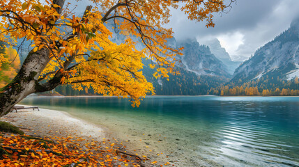 Yellow autumn trees on the shore of lake in Austrian  - obrazy, fototapety, plakaty