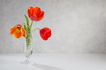 A bouquet of red tulips in a glass vase on a light background. Copy space