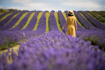 A young woman wearing a yellow jumpsuit dress and a straw hat walks along a lavender field and...