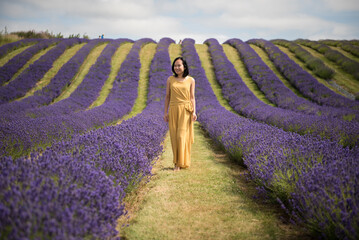 An Asian woman wearing a yellow jumpsuit dress walks barefoot along a lavender field and smiles  in...
