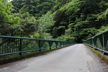 飛龍橋