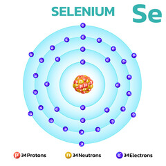 Selenium atomic structure.Consists of 34 protons and 34 electrons and 34 neutrons. Information for learning chemistry