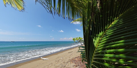 Palm beach on the Pacific, Costa Rica