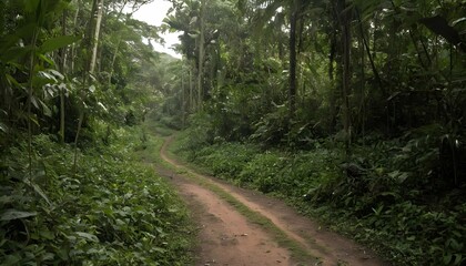 Fototapeta na wymiar A dirt track winding through dense jungle undergro upscaled 2