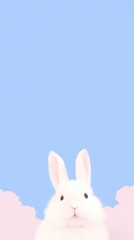 Rabbit selfie cute wallpaper cartoon rodent animal.