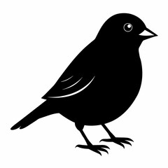finch silhouette vector illustration