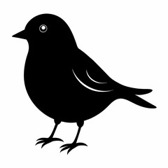 finch silhouette vector illustration