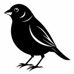 finch silhouette vector illustration