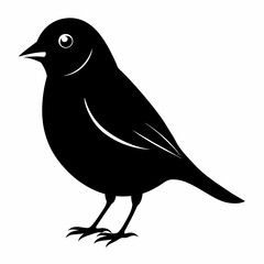 finch silhouette vector illustration