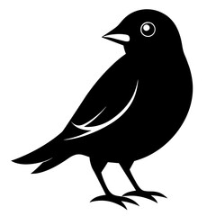 finch silhouette vector illustration