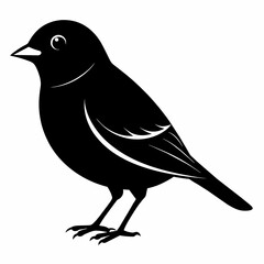 finch silhouette vector illustration