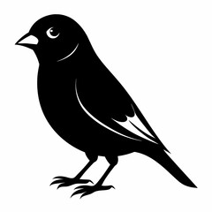 finch silhouette vector illustration