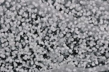 rocky mountain scenery and landscapes