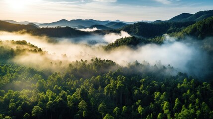 Amidst growing environmental concerns, attention turns to the carbon credit market as a key instrument in incentivizing emission reductions and fostering 