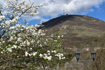 spring landscape with a view of Mount Mashuk in Pyatigorsk, Russia