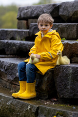 Cute little school child, playing with little gosling in the park on a rainy day - 795227095