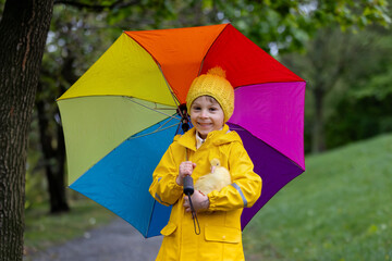 Cute little school child, playing with little gosling in the park on a rainy day - 795227295