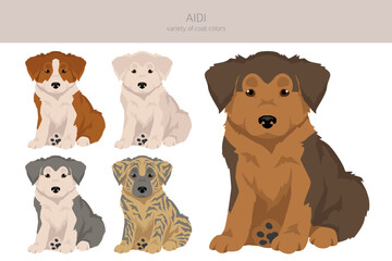 Aidi puppy clipart. Different poses, coat colors set