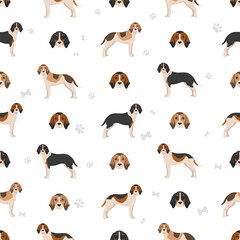 Obraz premium Medium sized Anglo-French hound seamless pattern. Different poses, coat colors set