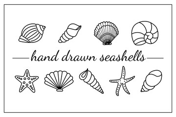 Hand drawn Seashell silhouettes. Marine shells icons. Rapana seashells, Starfish, round shell of urchin. Marine life, ocean mollusks