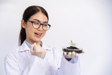 The female scientist is working with a plant seed germination tray in the laboratory