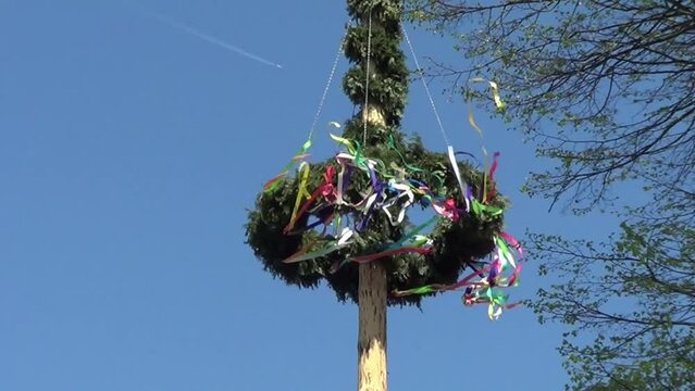 Maibaum, deutsche Tradition 1. Mai zu feiern	
Baum mit bunten Bändern geschmückt