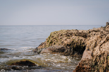 Tuja, Latvia - August 14, 2023 - Seaweed-covered rocks at the edge of water with gentle waves in the background.