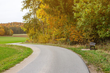 road for walking among fields and forests. walks in the open air