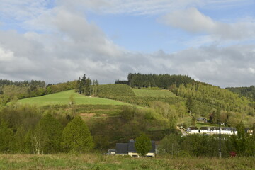 Contraste entre ombre et éclaircie sur le gazon et les cimes des arbres sur les collines aux environs de Bouillon 