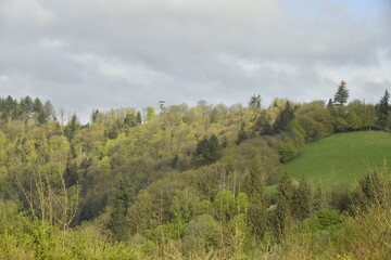 Gradué de couleurs entre ombre et éclaircie sur les cimes des arbres au sommet des collines aux...