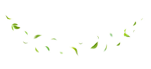 Obraz premium Green Floating Leaves Flying Leaves Green Leaf Dancing, Air Purifier Atmosphere Simple Main Picture.