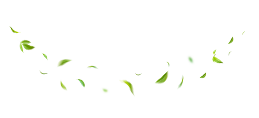 Green Floating Leaves Flying Leaves Green Leaf Dancing, Air Purifier Atmosphere Simple Main Picture.