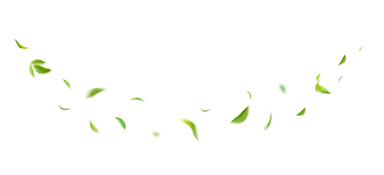 Green Floating Leaves Flying Leaves Green Leaf Dancing, Air Purifier Atmosphere Simple Main Picture.