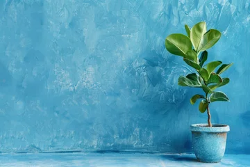 Deurstickers plant against a blue wall background with copy space - generative ai © Nia™